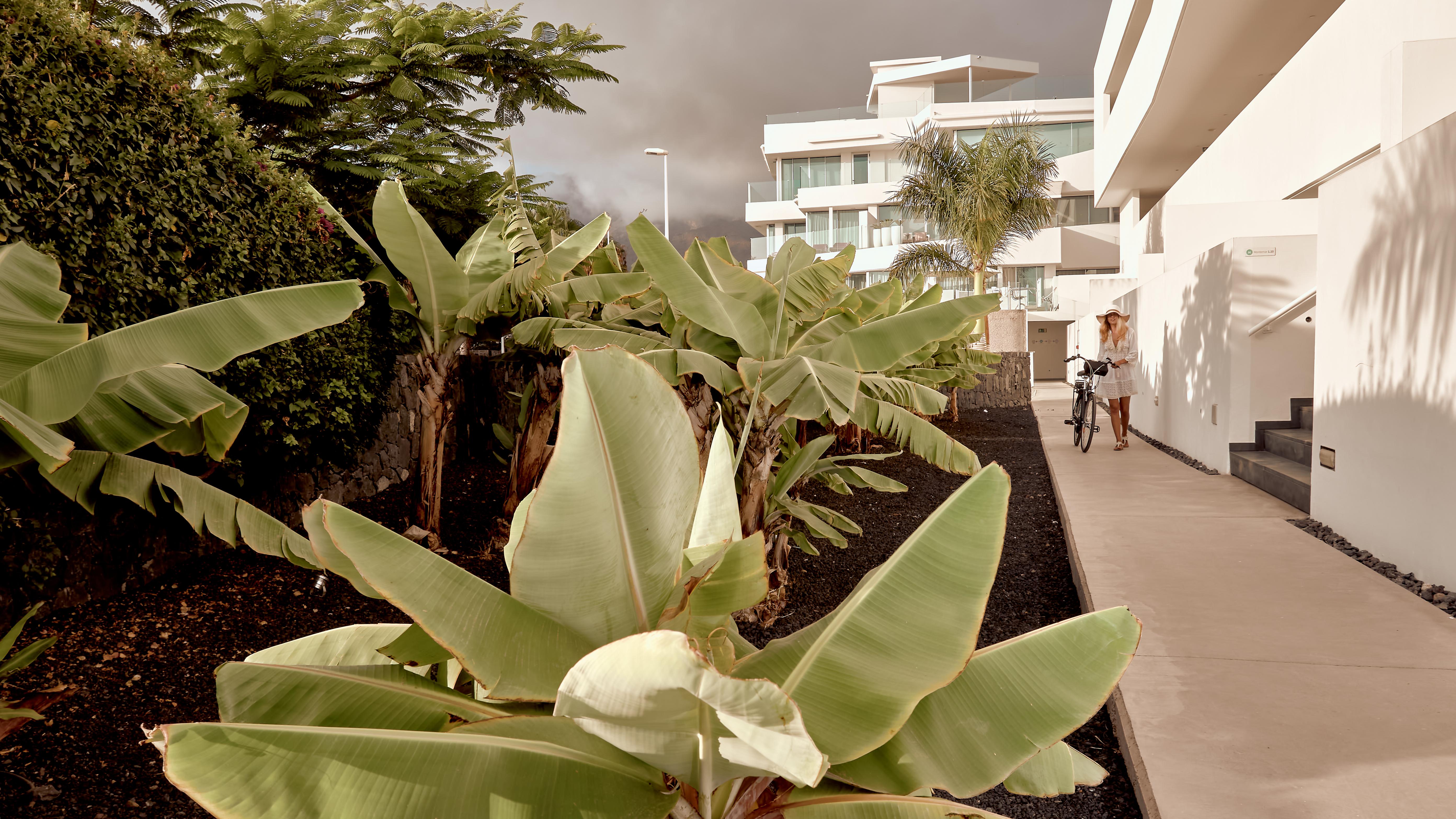 Hotel Baobab Suites Costa Adeje Dış mekan fotoğraf